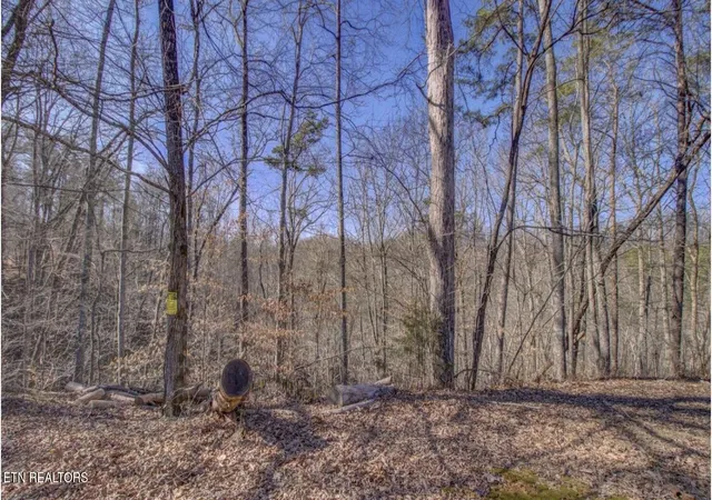 Photo 3 of Land for sale at 4585 Crooked Crk Way, Maryville, TN 37803 | MLS# 3509960 | Listing updated on 2026-09-11