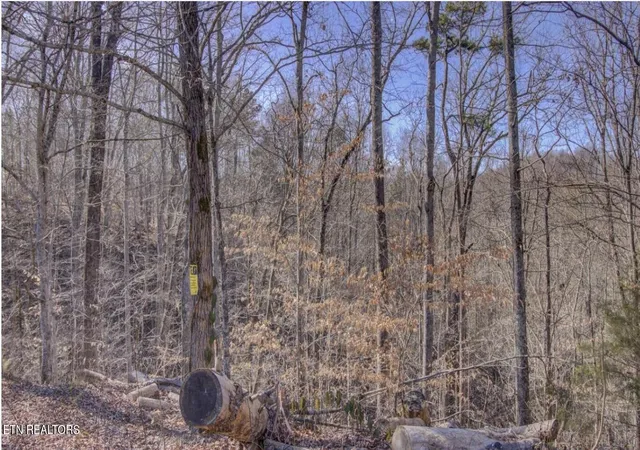Photo 4 of Land for sale at 4585 Crooked Crk Way, Maryville, TN 37803 | MLS# 3509960 | Listing updated on 2026-09-11