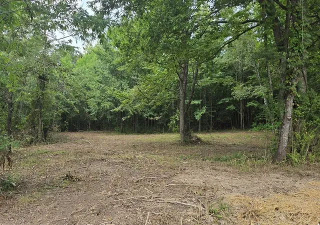 Photo 3 of Land for sale at 0 Dukes Park Rd, Summertown, TN 38483 | MLS# 3510210 | Listing updated on 2026-09-30