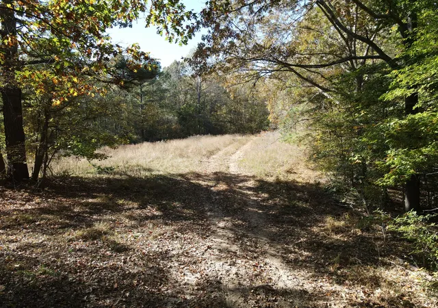 Photo 1 of Land for sale at 2 Copper Spring Rd, Springville, TN 38256 | MLS# 3511181 | Listing updated on 2026-09-14