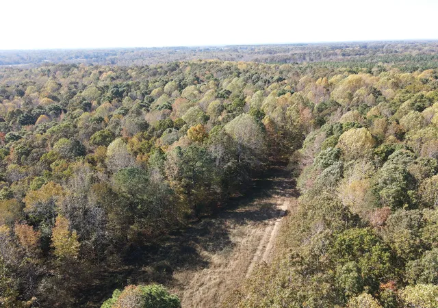 Photo 2 of Land for sale at 2 Copper Spring Rd, Springville, TN 38256 | MLS# 3511181 | Listing updated on 2026-09-14