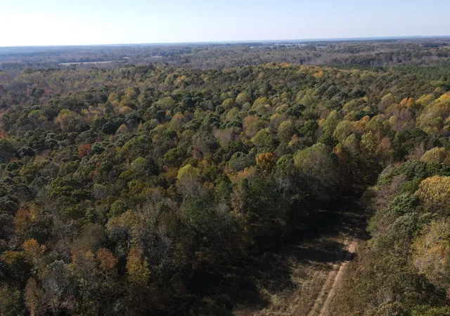 Photo 3 of Land for sale at 2 Copper Spring Rd, Springville, TN 38256 | MLS# 3511181 | Listing updated on 2026-09-14