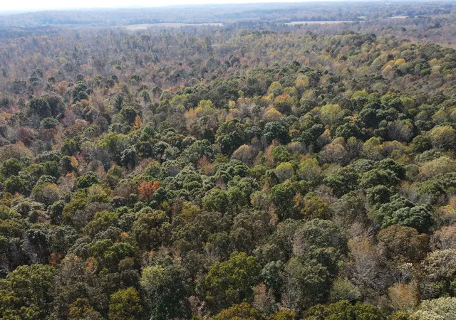 Photo 3 of Land for sale at 2 Copper Spring Rd, Springville, TN 38256 | MLS# 3511181 | Listing updated on 2026-09-14