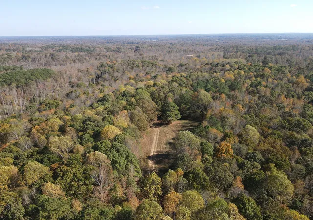 Photo 4 of Land for sale at 2 Copper Spring Rd, Springville, TN 38256 | MLS# 3511181 | Listing updated on 2026-09-14