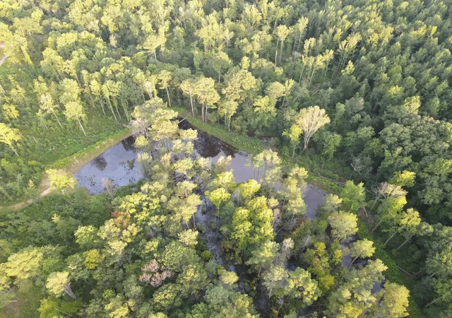 Photo 1 of Land for sale at 6 Copper Spring Rd, Springville, TN 38256 | MLS# 3511208 | Listing updated on 2026-09-14