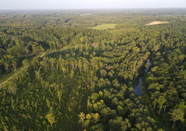 Photo 2 of Land for sale at 6 Copper Spring Rd, Springville, TN 38256 | MLS# 3511208 | Listing updated on 2026-09-14