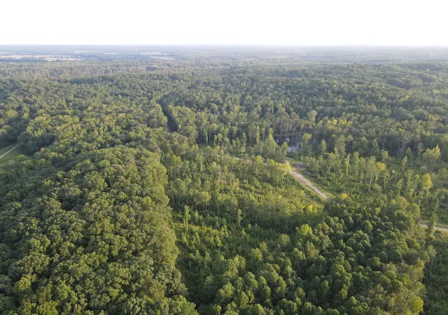 Photo 2 of Land for sale at 5 Copper Spring Rd Lot, Springville, TN 38256 | MLS# 3511199 | Listing updated on 2026-09-14