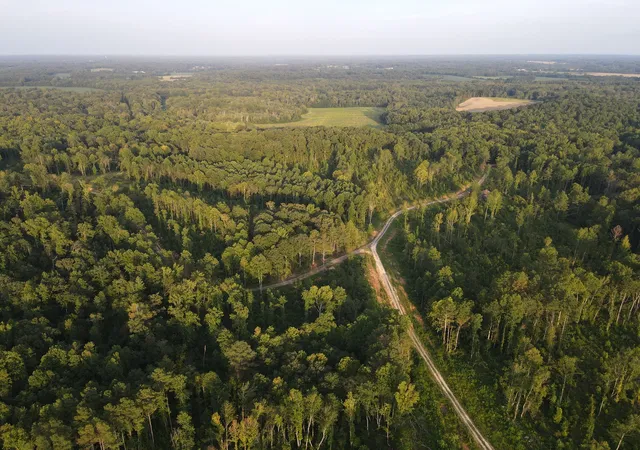 Photo 3 of Land for sale at 5 Copper Spring Rd Lot, Springville, TN 38256 | MLS# 3511199 | Listing updated on 2026-09-14