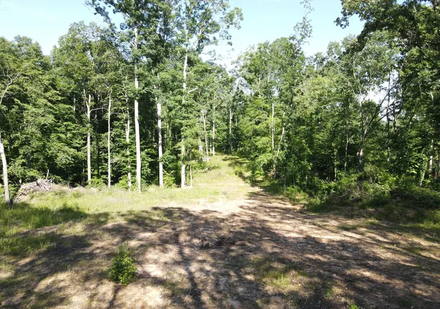 Photo 1 of Land for sale at 3 Copper Spring Rd, Springville, TN 38256 | MLS# 3511186 | Listing updated on 2026-09-14