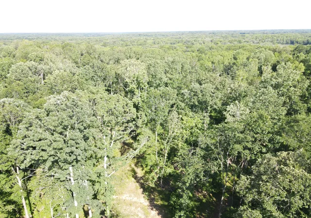 Photo 2 of Land for sale at 3 Copper Spring Rd, Springville, TN 38256 | MLS# 3511186 | Listing updated on 2026-09-14