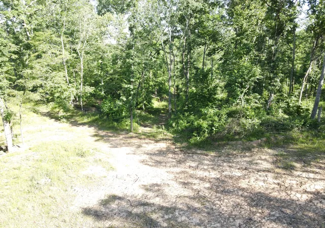 Photo 3 of Land for sale at 3 Copper Spring Rd, Springville, TN 38256 | MLS# 3511186 | Listing updated on 2026-09-14