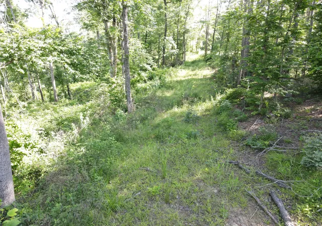 Photo 4 of Land for sale at 3 Copper Spring Rd, Springville, TN 38256 | MLS# 3511186 | Listing updated on 2026-09-14