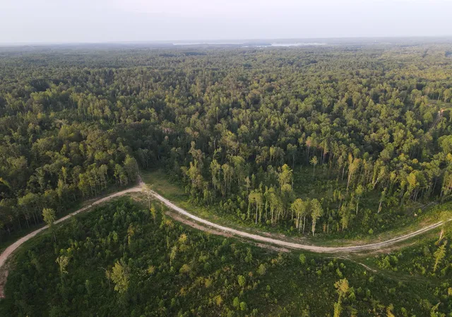 Photo 1 of Land for sale at 4 Copper Spring Rd, Springville, TN 38256 | MLS# 3511195 | Listing updated on 2026-09-14