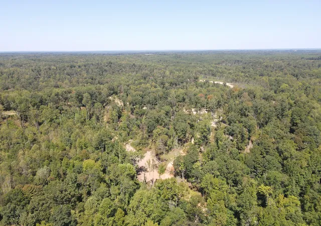 Photo 2 of Land for sale at 4 Copper Spring Rd, Springville, TN 38256 | MLS# 3511195 | Listing updated on 2026-09-14