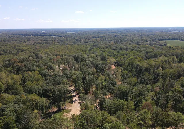 Photo 3 of Land for sale at 4 Copper Spring Rd, Springville, TN 38256 | MLS# 3511195 | Listing updated on 2026-09-14