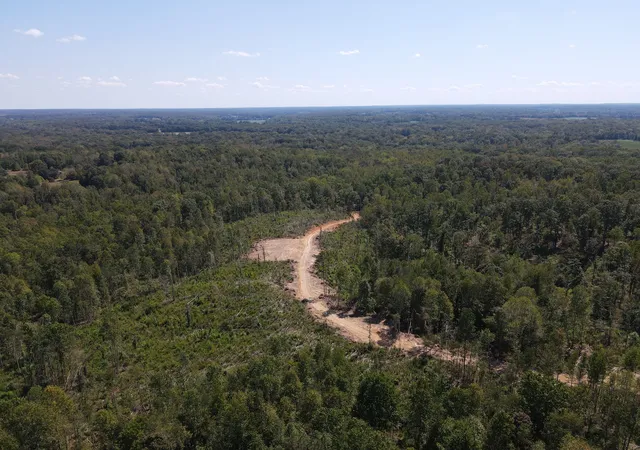Photo 4 of Land for sale at 4 Copper Spring Rd, Springville, TN 38256 | MLS# 3511195 | Listing updated on 2026-09-14