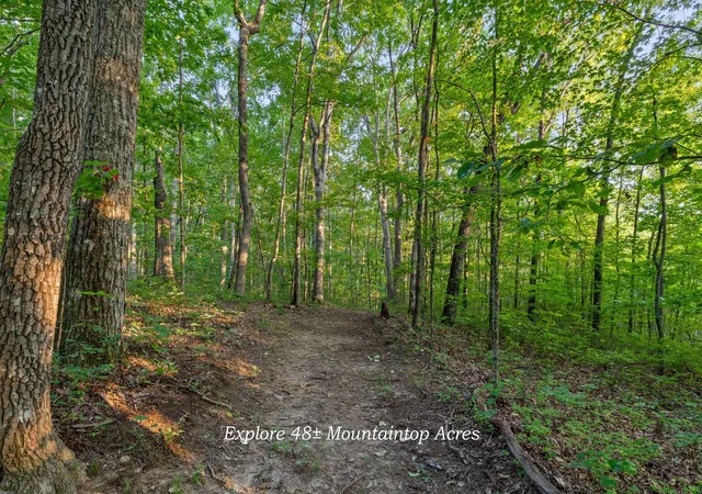 Photo 3 of Single family home for sale at 783 Leather Gap Rd, Dunlap, TN 37327 | MLS# 3513101 | Listing updated on 2026-09-11