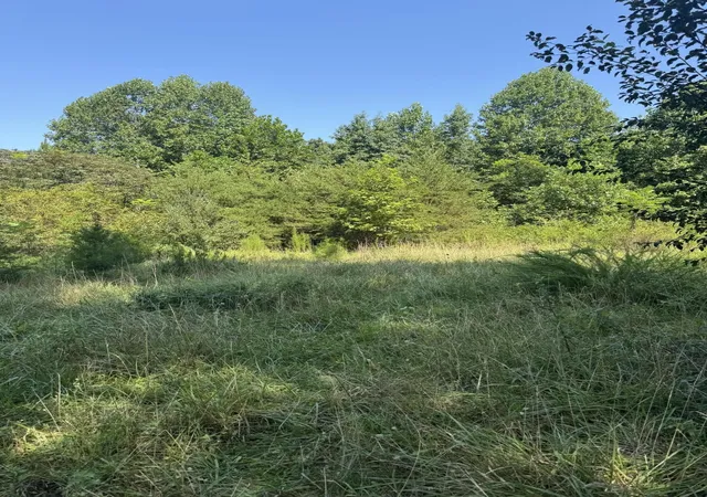 Photo 1 of Land for sale at 704 Windstone Dr, Sequatchie, TN 37374 | MLS# 3531196 | Listing updated on 2026-09-11