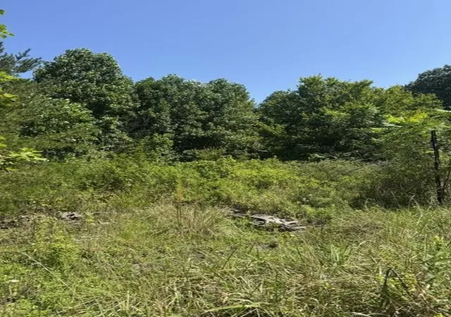 Photo 2 of Land for sale at 704 Windstone Dr, Sequatchie, TN 37374 | MLS# 3531196 | Listing updated on 2026-09-11