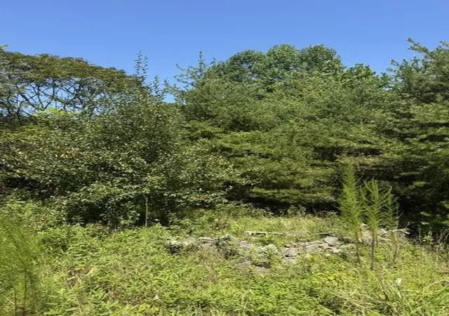 Photo 3 of Land for sale at 704 Windstone Dr, Sequatchie, TN 37374 | MLS# 3531196 | Listing updated on 2026-09-11