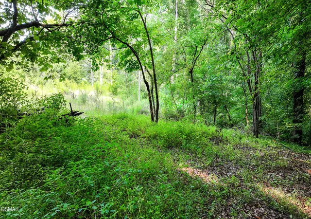 Photo 3 of Land for sale at 985 Tennessee 31, Mooresburg, TN 37811 | MLS# 3513388 | Listing updated on 2026-10-09