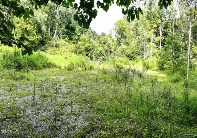 Photo 4 of Land for sale at 985 Tennessee 31, Mooresburg, TN 37811 | MLS# 3513388 | Listing updated on 2026-10-09