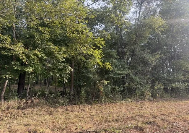 Photo 3 of Land for sale at 7 Issac Clifton Rd, Chapmansboro, TN 37035 | MLS# 3513412 | Listing updated on 2026-09-14