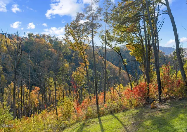 Photo 4 of Single family home for sale at 2216 Headrick Lead, Sevierville, TN 37862 | MLS# 3591796 | Listing updated on 2026-09-14