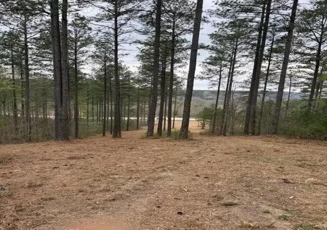 Photo 3 of Land for sale at 0 Birds Eye Way, Guild, TN 37340 | MLS# 3513708 | Listing updated on 2026-09-25