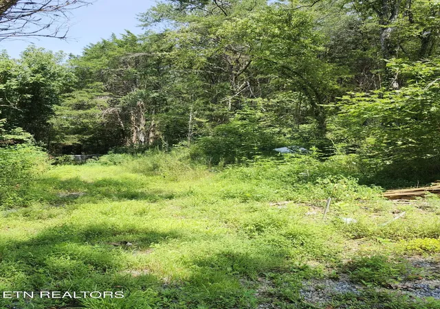 Photo 3 of Land for sale at 340 Swadis Dr, Sevierville, TN 37876 | MLS# 3514252 | Listing updated on 2026-09-11