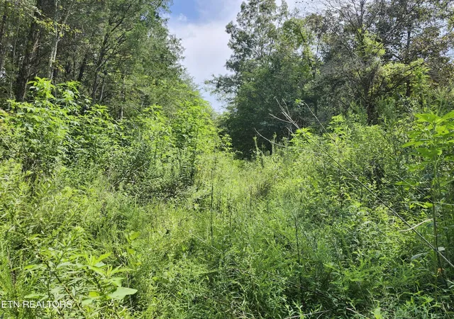 Photo 3 of Land for sale at 340 Swadis Dr, Sevierville, TN 37876 | MLS# 3514252 | Listing updated on 2026-09-11
