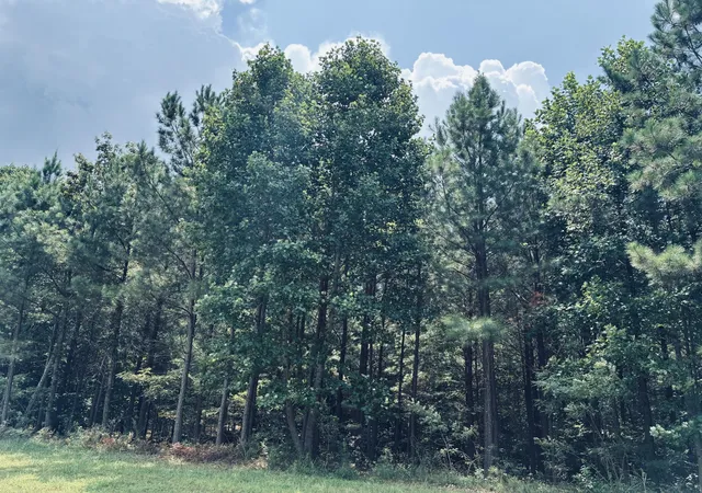 Photo 4 of Land for sale at 395 Volunteer St, Jasper, TN 37347 | MLS# 3514588 | Listing updated on 2026-09-11
