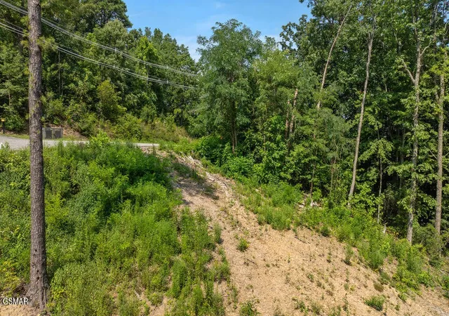 Photo 3 of Land for sale at 1315 Garrett Dr, Gatlinburg, TN 37738 | MLS# 3514733 | Listing updated on 2026-10-06