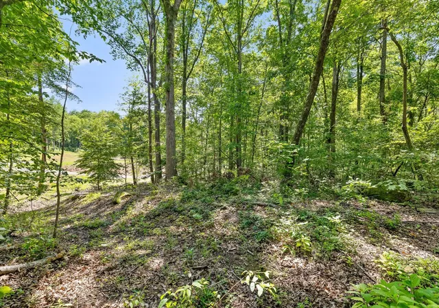 Land for sale at 0 Maple Leaf Trl, Lookout Mountain, GA 30750 | MLS# 3514768
