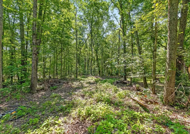 Photo 4 of Land for sale at 0 Maple Leaf Trl, Lookout Mountain, GA 30750 | MLS# 3514768 | Listing updated on 2026-09-11