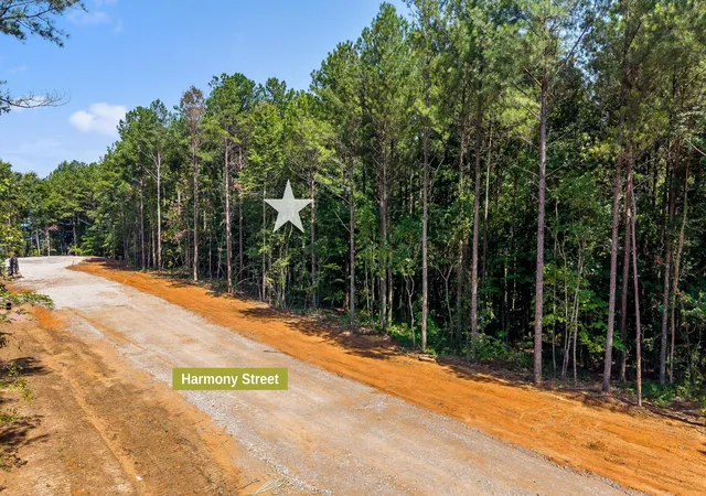 Photo 4 of Land for sale at 2017 Harmony St, Guild, TN 37340 | MLS# 3514978 | Listing updated on 2026-09-11