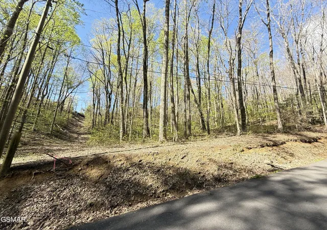 Land for sale at 1440 Laurel Rd, Gatlinburg, TN 37738 | MLS# 3591810