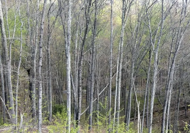 Photo 3 of Land for sale at 1440 Laurel Rd, Gatlinburg, TN 37738 | MLS# 3591810 | Listing updated on 2026-09-14