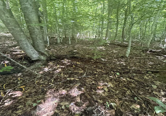 Photo 1 of Land for sale at 0 Suttons Rd, Sevierville, TN 37876 | MLS# 3542945 | Listing updated on 2026-09-11