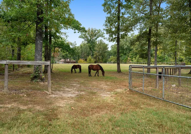 Photo 3 of Single family home for sale at 7283 Kingston Rd, Fairview, TN 37062 | MLS# 3543030 | Listing updated on 2026-10-08
