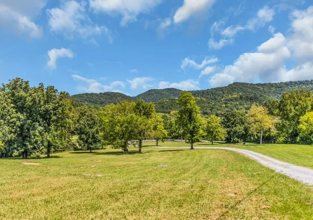 Photo 3 of Single family home for sale at 7915 Dismal Hollow Rd, Christiana, TN 37037 | MLS# 3527104 | Listing updated on 2026-09-11