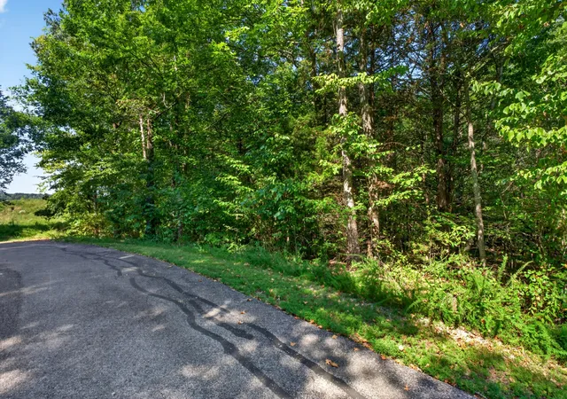 Photo 3 of Land for sale at 0 Glenalbyn Pass, Sparta, TN 38583 | MLS# 3542603 | Listing updated on 2026-09-28