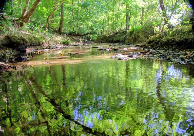 Photo 2 of Sale Pending at 0 Baptist Church Rd, Culleoka, TN 38451 | MLS# 3528008 | Listing updated on 2026-09-11