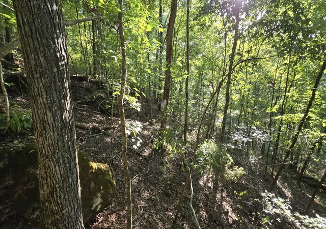 Photo 3 of Sale Pending at 0 Baptist Church Rd, Culleoka, TN 38451 | MLS# 3528008 | Listing updated on 2026-09-11