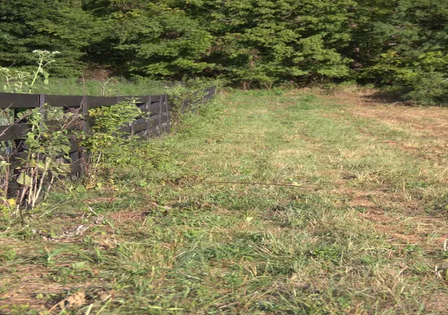 Photo 3 of Sale Pending at 0 Baptist Church Rd, Culleoka, TN 38451 | MLS# 3528008 | Listing updated on 2026-09-11