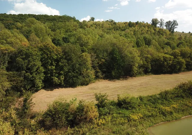 Photo 1 of Land for sale at 0 Lead Mine Valley Road Sw, Cleveland, TN 37311 | MLS# 3526498 | Listing updated on 2026-09-11