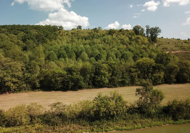 Photo 2 of Land for sale at 0 Lead Mine Valley Road Sw, Cleveland, TN 37311 | MLS# 3526498 | Listing updated on 2026-09-11
