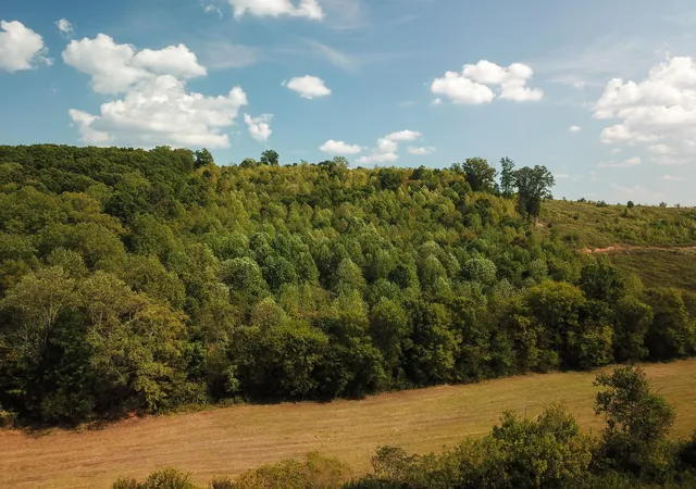 Photo 3 of Land for sale at 0 Lead Mine Valley Road Sw, Cleveland, TN 37311 | MLS# 3526498 | Listing updated on 2026-09-11