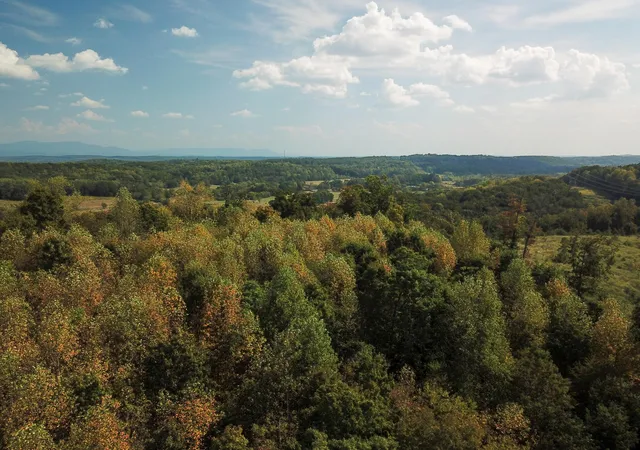 Photo 4 of Land for sale at 0 Lead Mine Valley Road Sw, Cleveland, TN 37311 | MLS# 3526498 | Listing updated on 2026-09-11