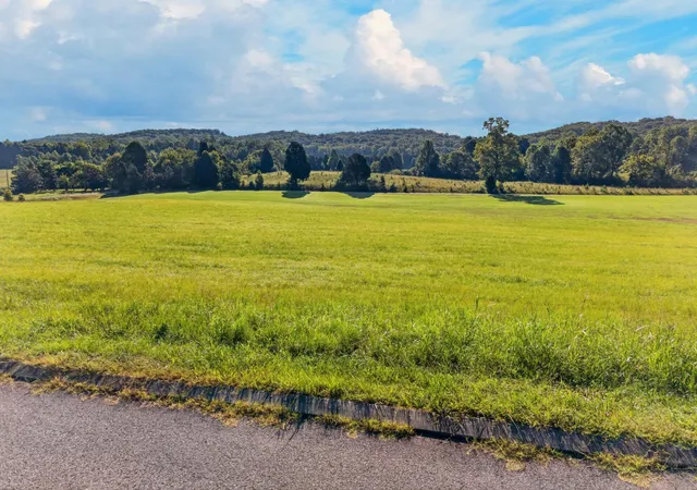 Photo 3 of Land for sale at 0 Spring Harbor Dr, Spring City, TN 37381 | MLS# 3527452 | Listing updated on 2026-09-11